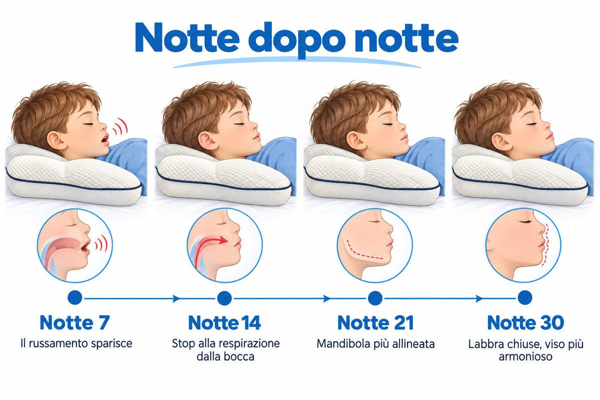 Timeline illustrata: notte 7, 14, 21 e 30 con il bambino che dorme sempre meglio sul cuscino Nido